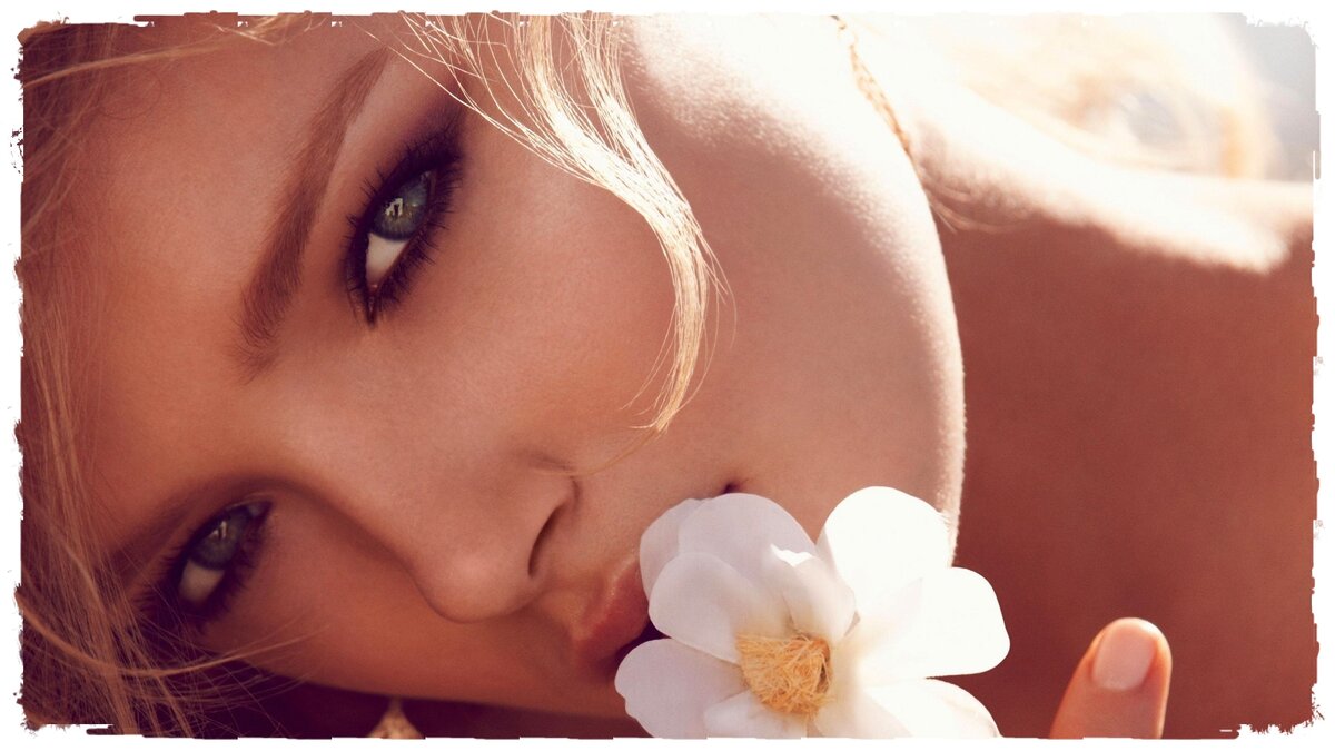 Яндекс картинки