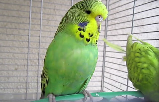 Профилактика