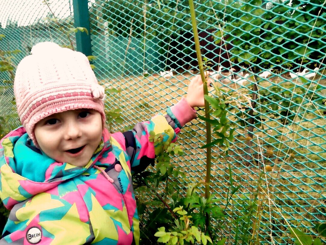 О! Какие гуси! - мне кричит:)