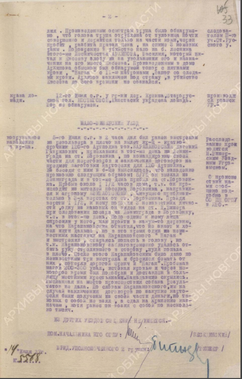 Оперативная сводка по Мало-Вишерскому уезду за 1919 год.