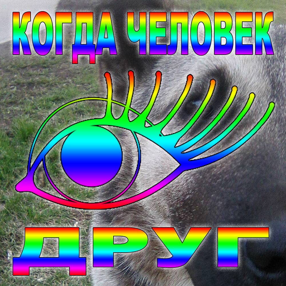 Кабы я была царицей" (великой княгиней, императрицей, президентом), издала б указ: Человек собаке - друг, а не просто "сосед по планете" | © ДиНа