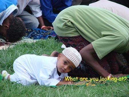 Картинка из свободного доступа интернета