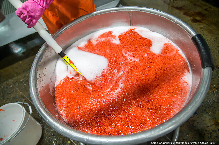 Красная икра вёдрами: как на Камчатке делают главный русский деликатес