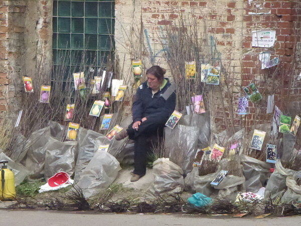 Яркие ламинированные этикетки с названиями и изображением известных сортов .