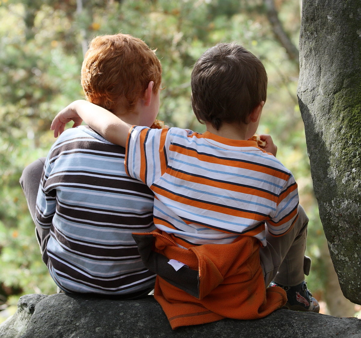 Все фото взяты из открытых источников