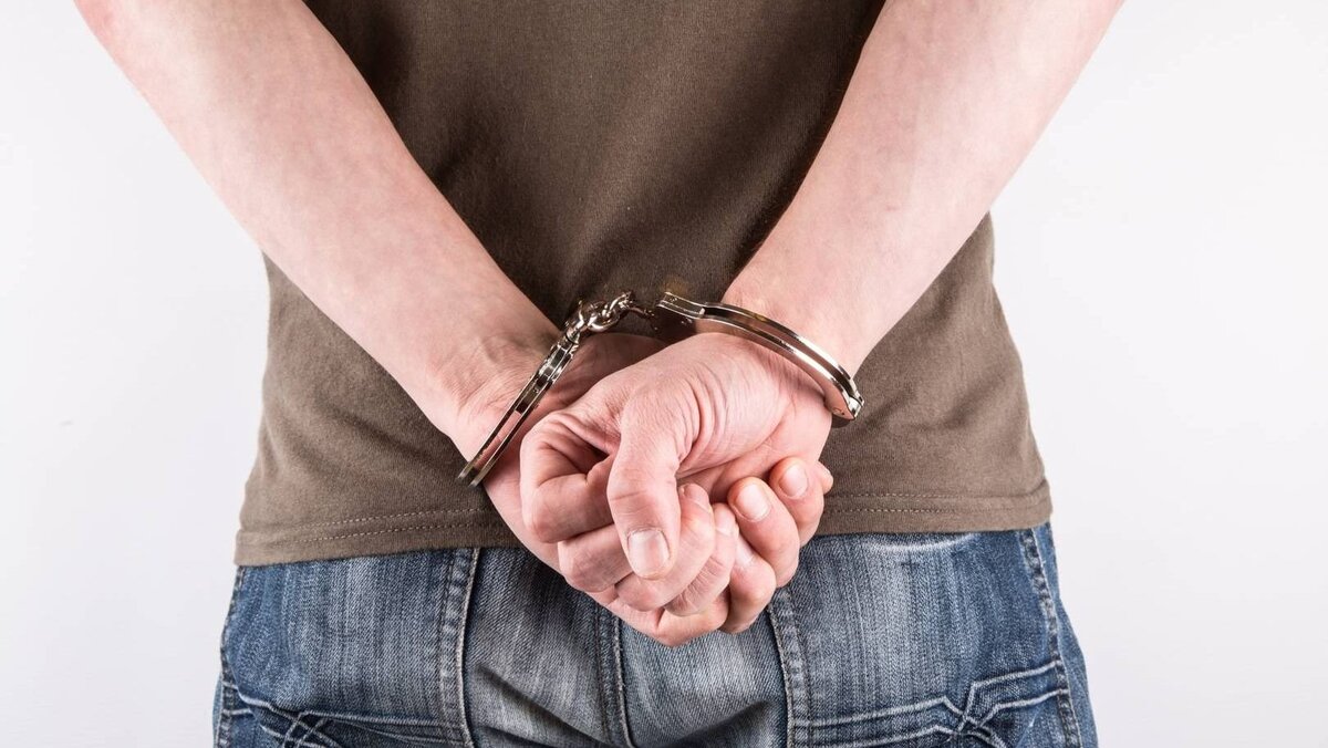 Фото из свободного доступа интернета.