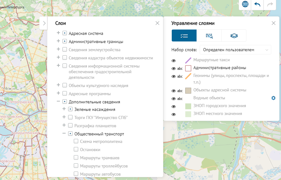 Скриншот сервиса http://new.rgis.spb.ru/