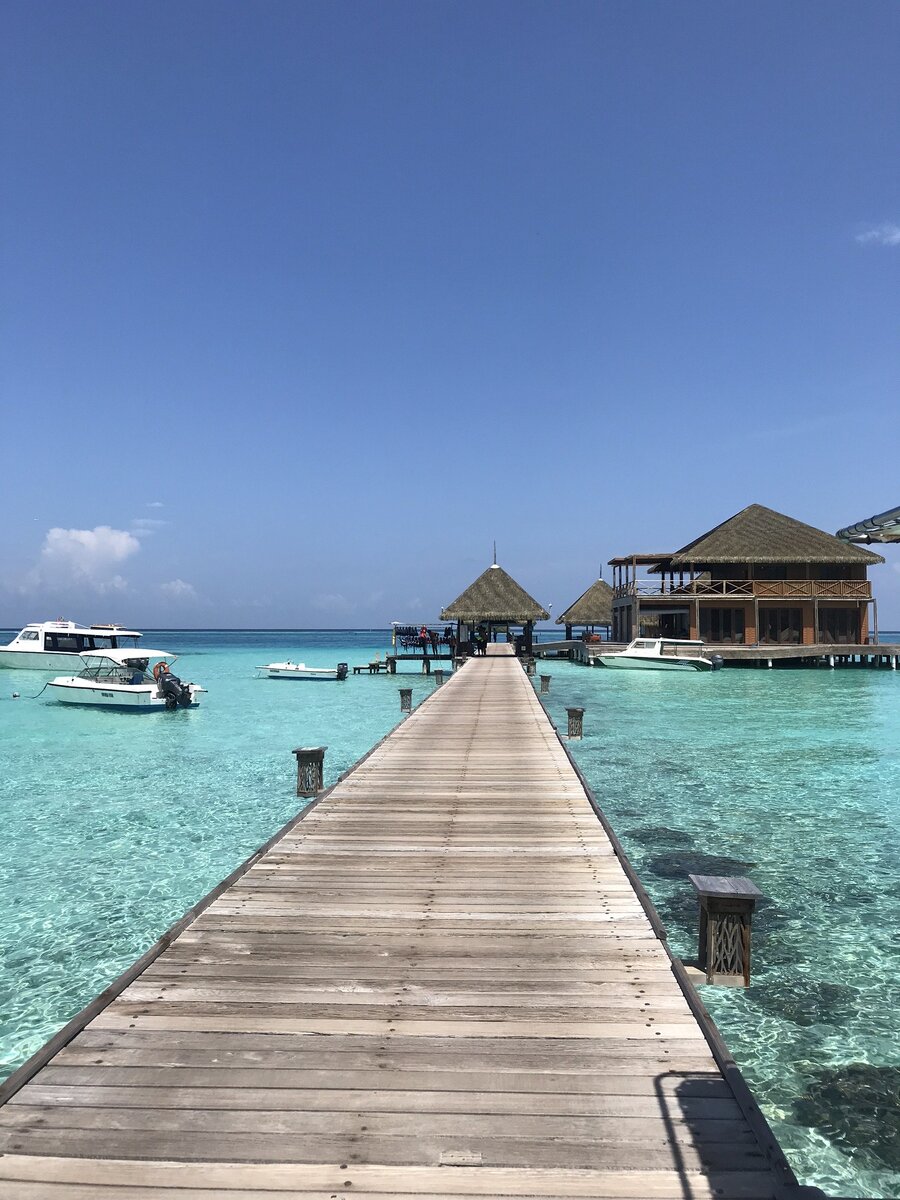 #maldives