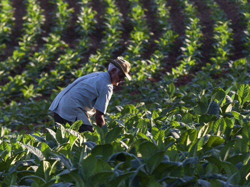 Картинка взята с Яндекс.Картинки