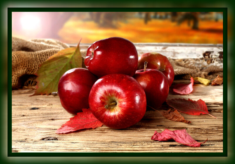 Как сохранить яблоки свежими на зиму в домашних условиях (простым бюджетным способом)