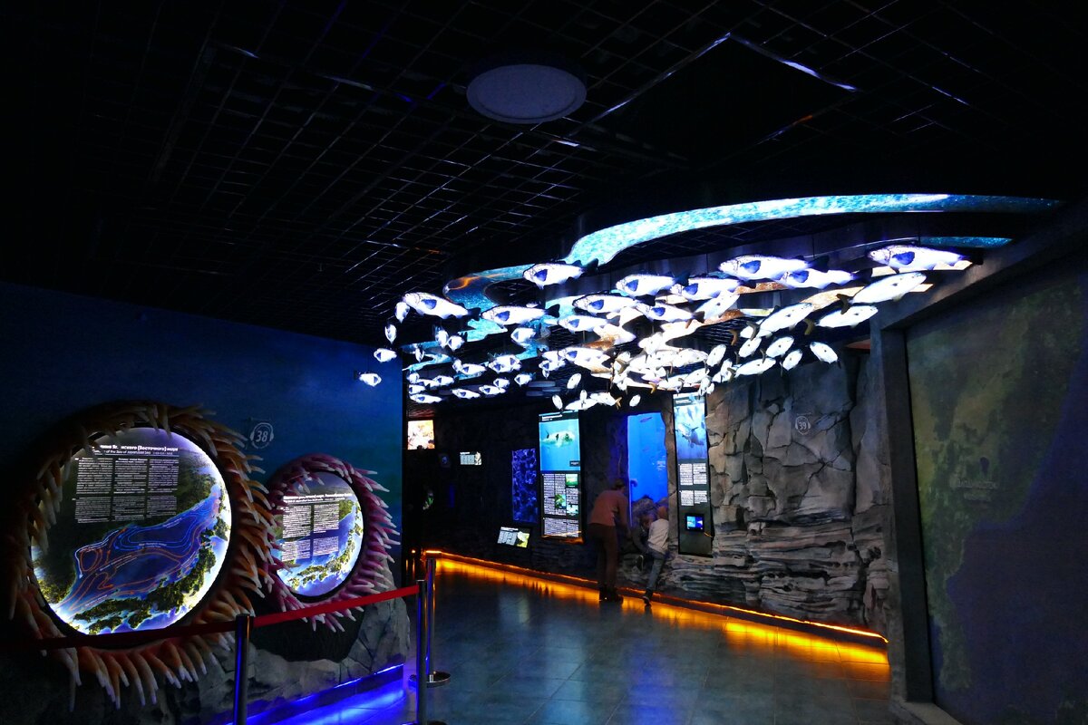 океанариум в саратове 2022. океанариум питерлэнд. океанариум новосибирск. воронежский океанариум воронеж. океанариум проект.