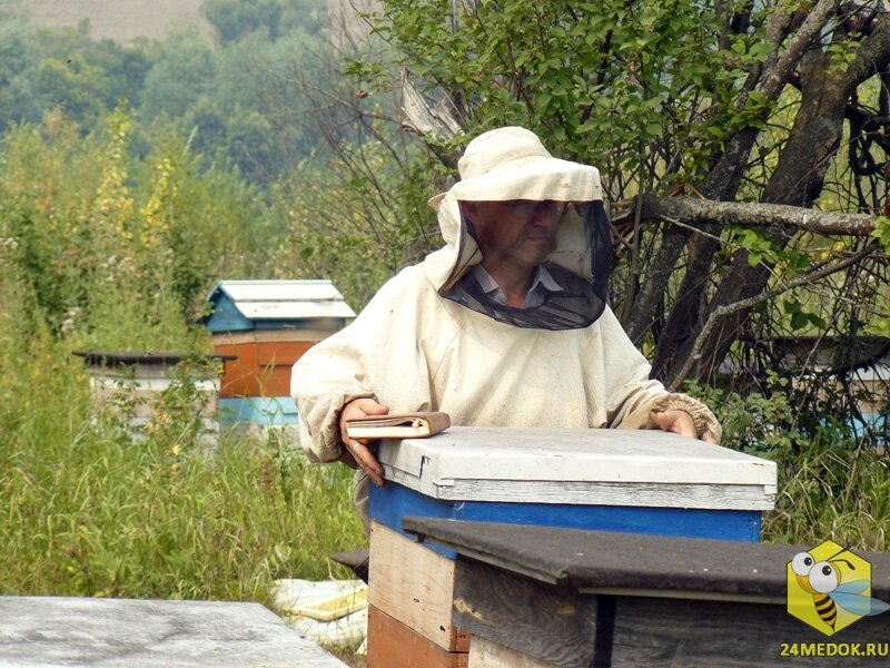 пчеловод