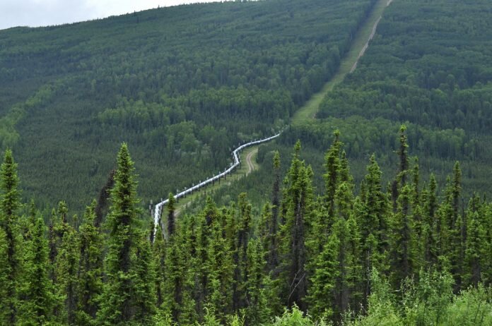 The Alaska Pipeline, flickr.com/ Dan