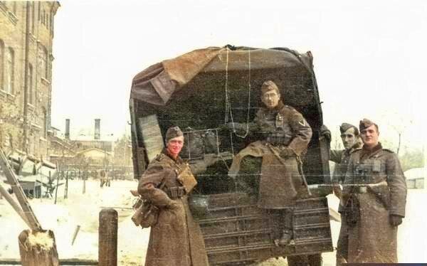 Суворовский городок Петергоф.