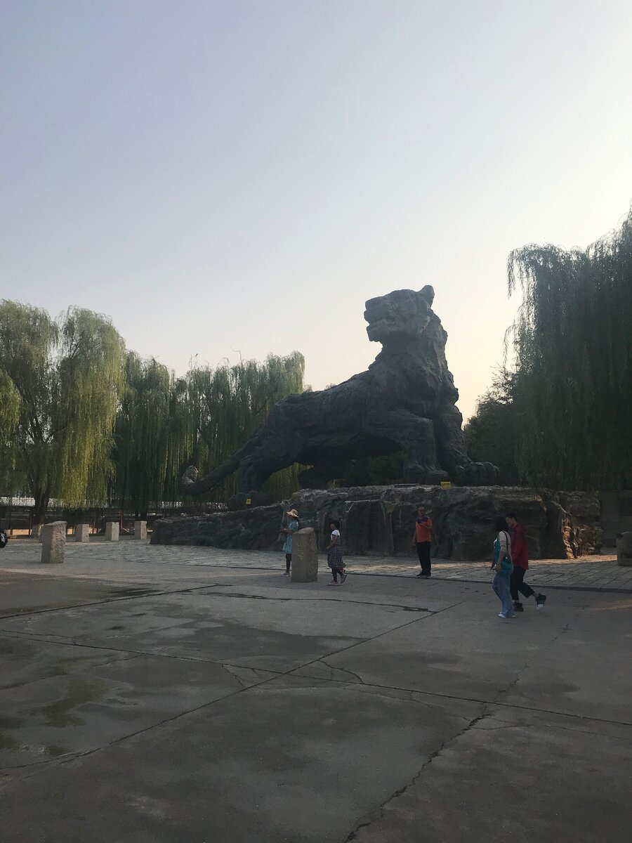 Внутри зоопарка, секция с кошачьими