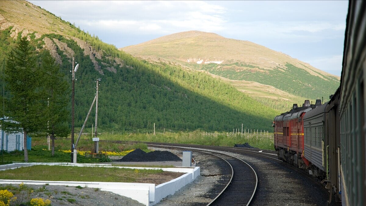 Изображение в открытом доступе на Яндекс. Картинки. 