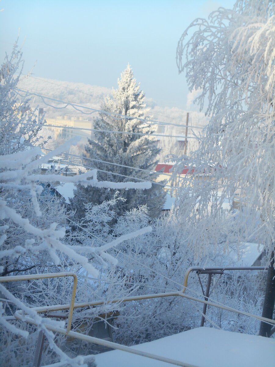 Зима 2018-2019 фото автора