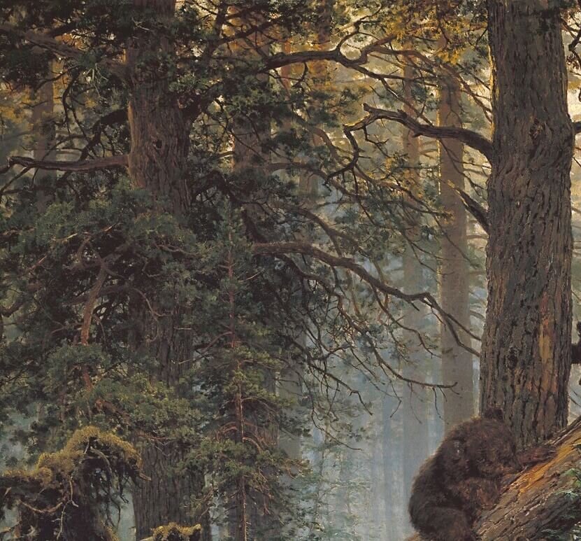 Шишкин 1889. Шишкин утро в Сосновом лесу. И. И. Шишкин «утро в Сосновом лесу» (1889 г.).