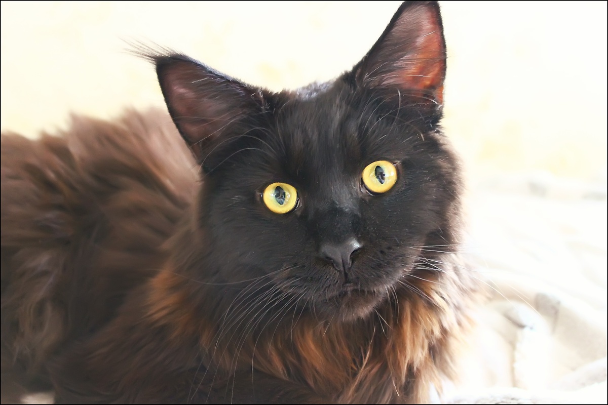 Ну пожаааалуйста!