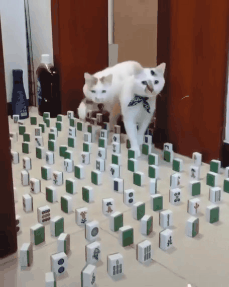 Жми на картинку, чтобы посмотреть видео. Источник: ютуб.