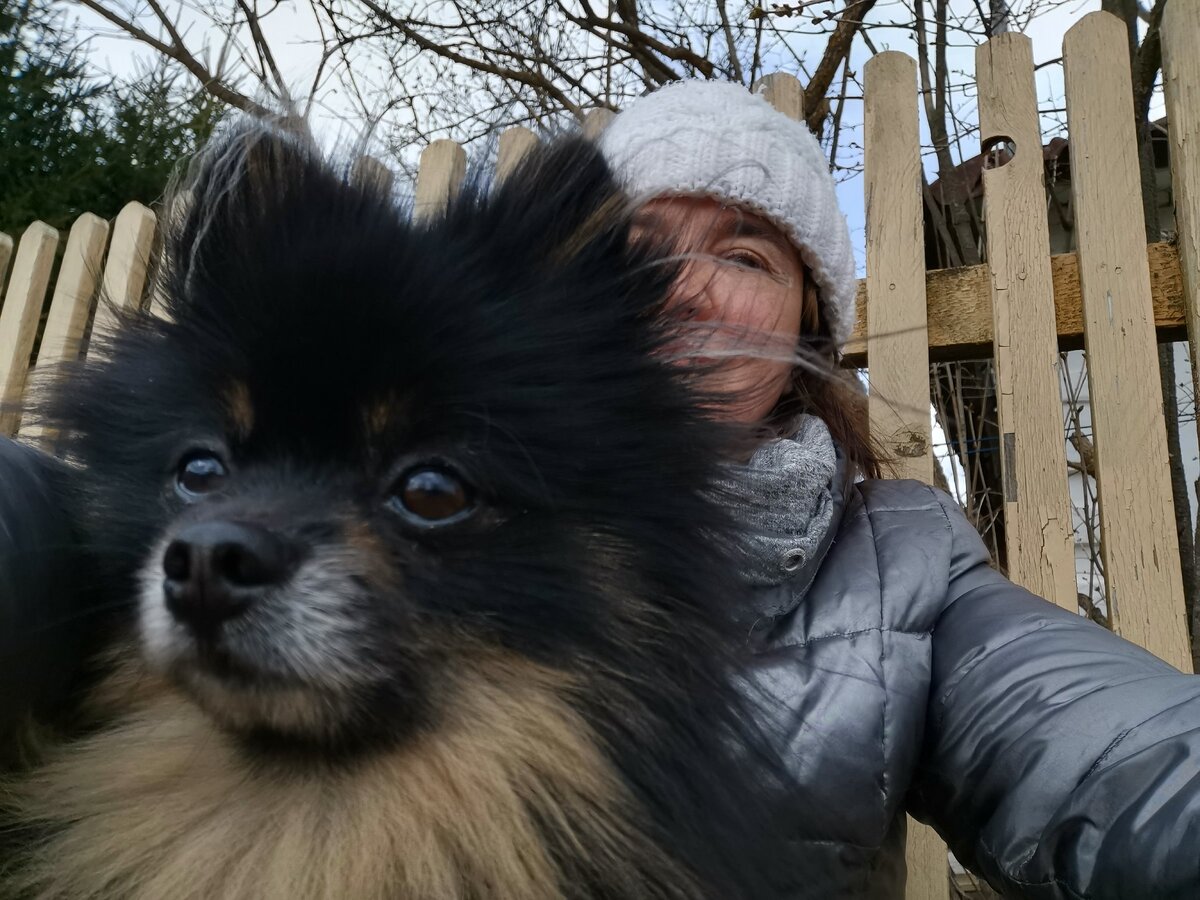 Сижу на завалинке, жду автолавку.