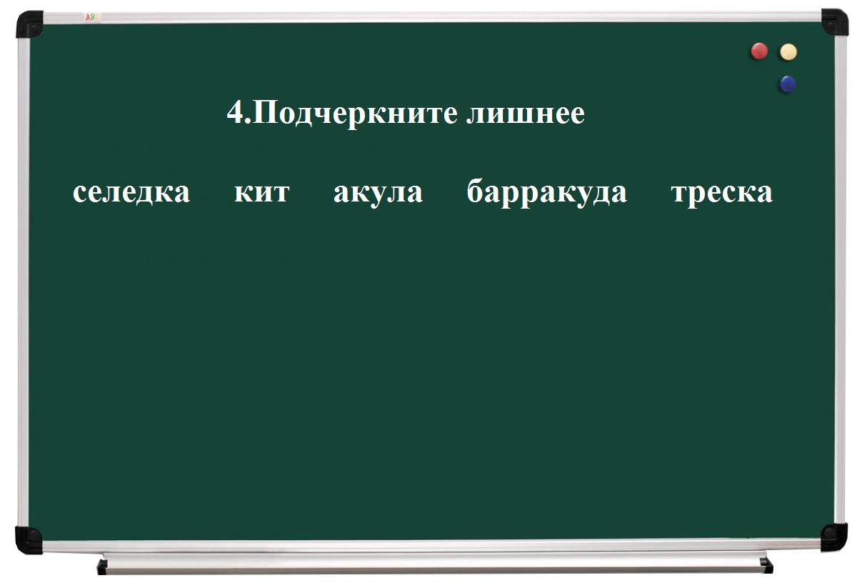 Зачем и как тренировать свой мозг? | Олег Суханов: глядя из  Санкт-Петербурга | Дзен