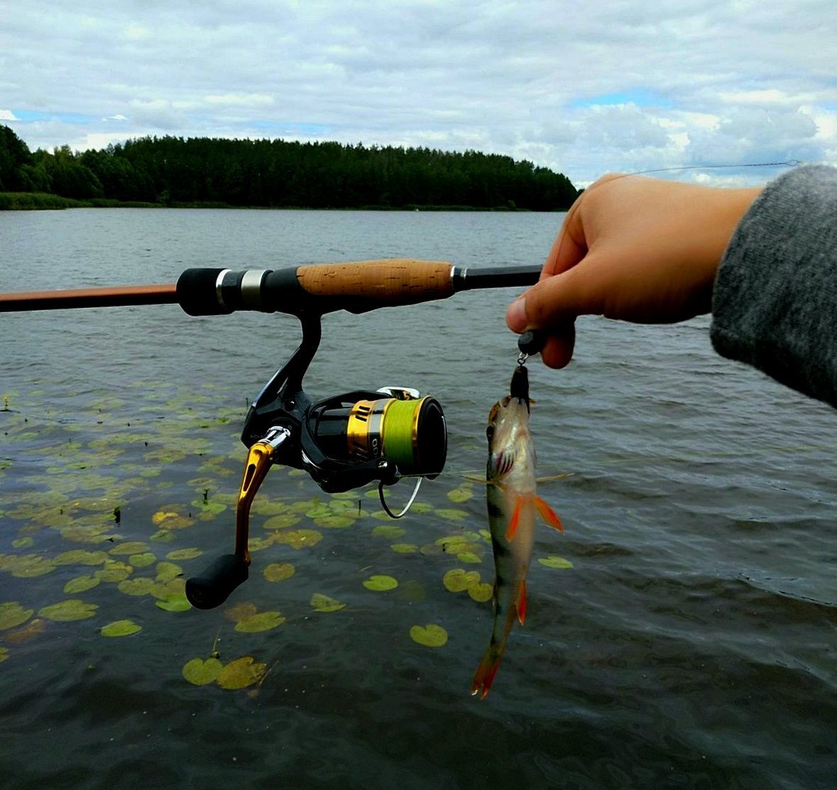 Бюджетная "Шиманка"