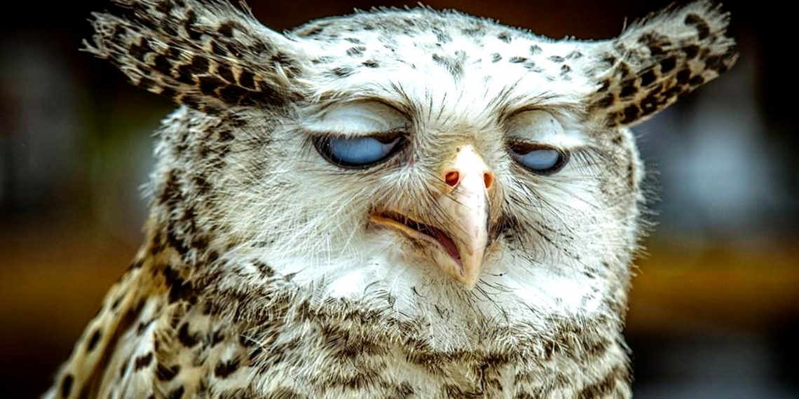 Взято из открытых источников