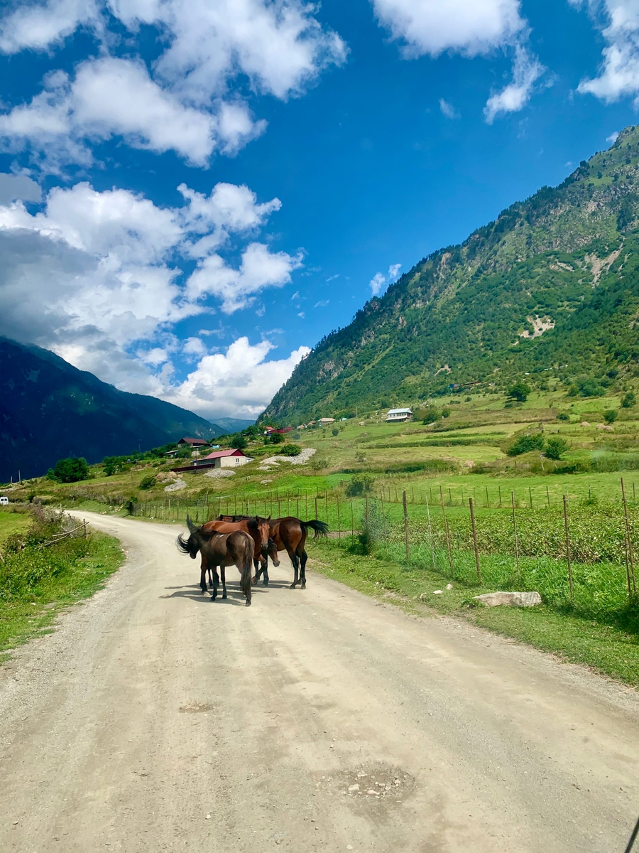 Красота Алании