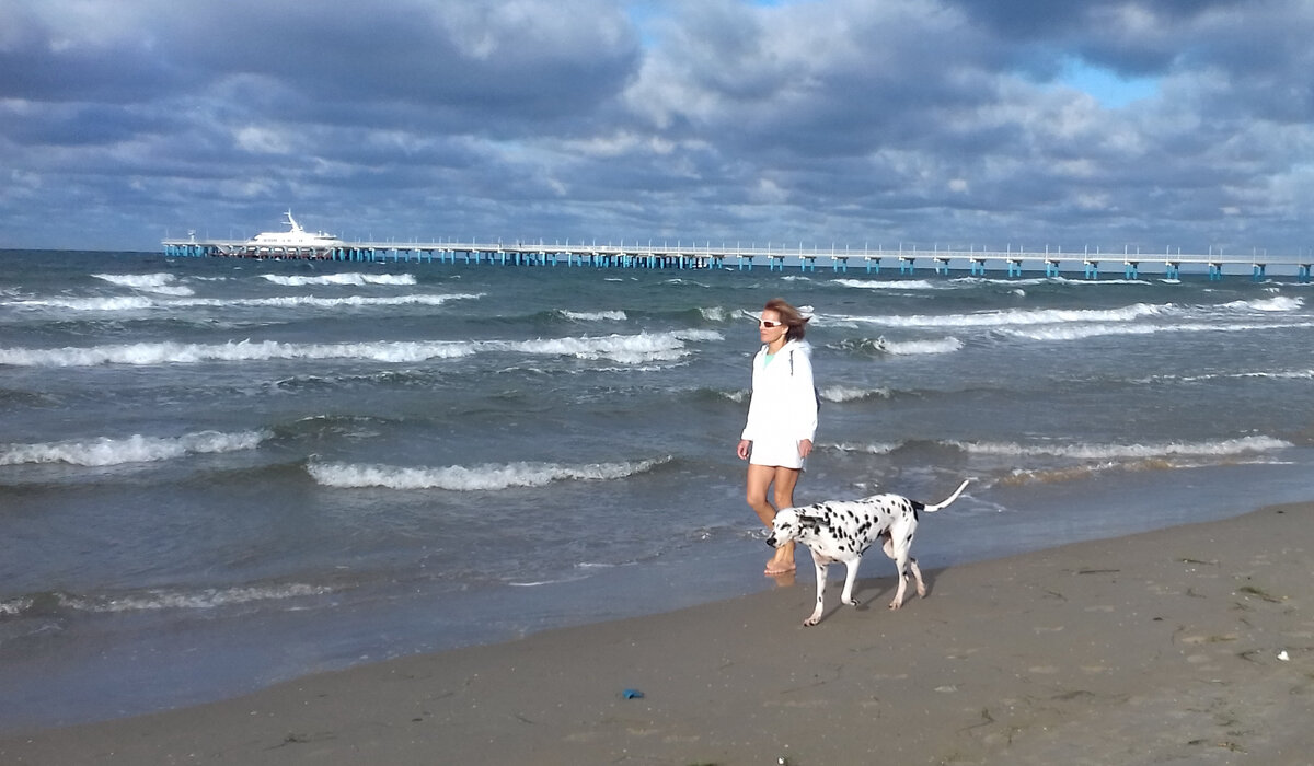 Дама с собачкой