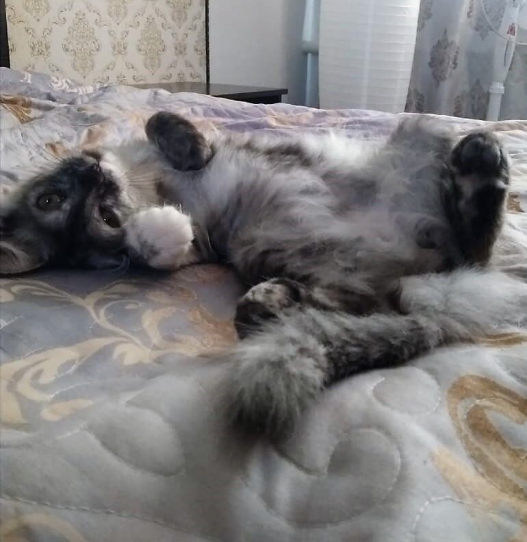Соня
