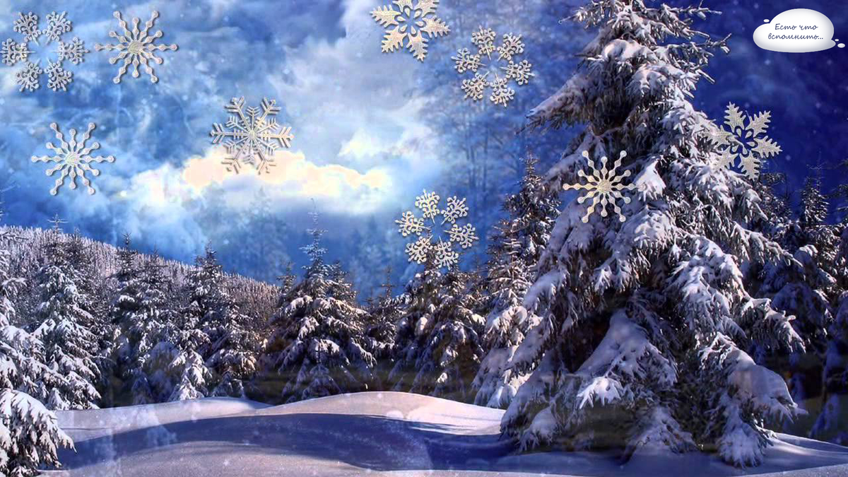 Фото из свободных источников интернета Яндекс.картинки