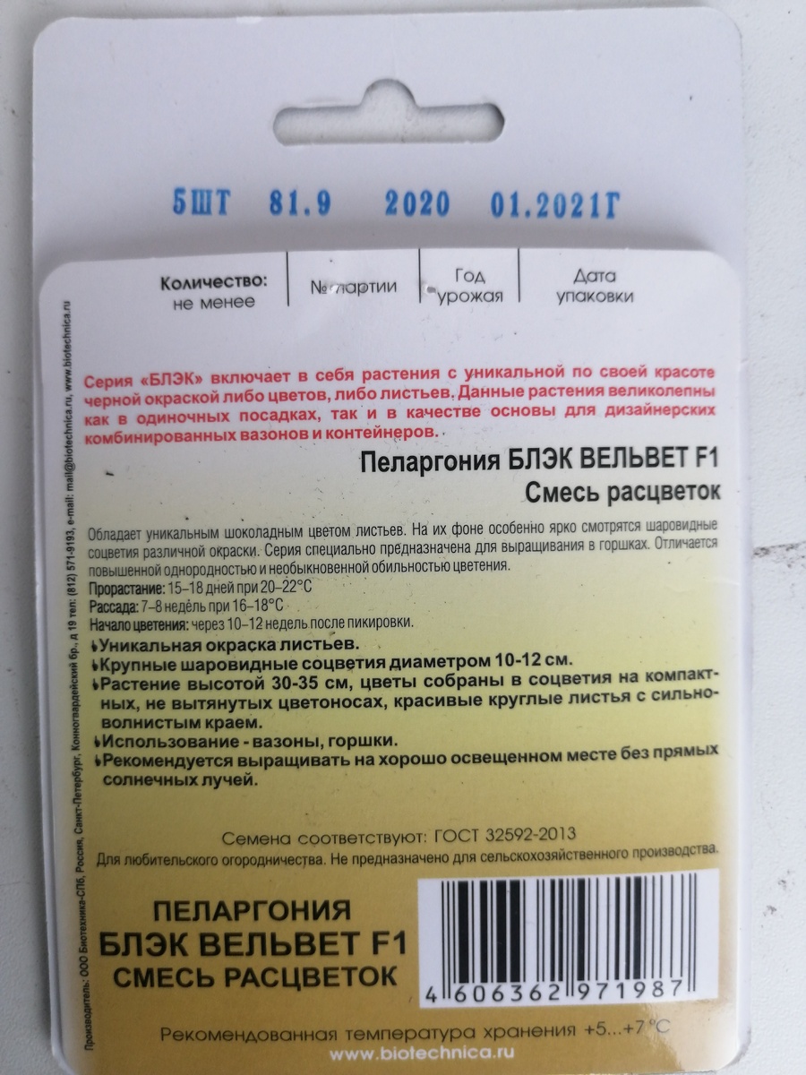 свеженькие