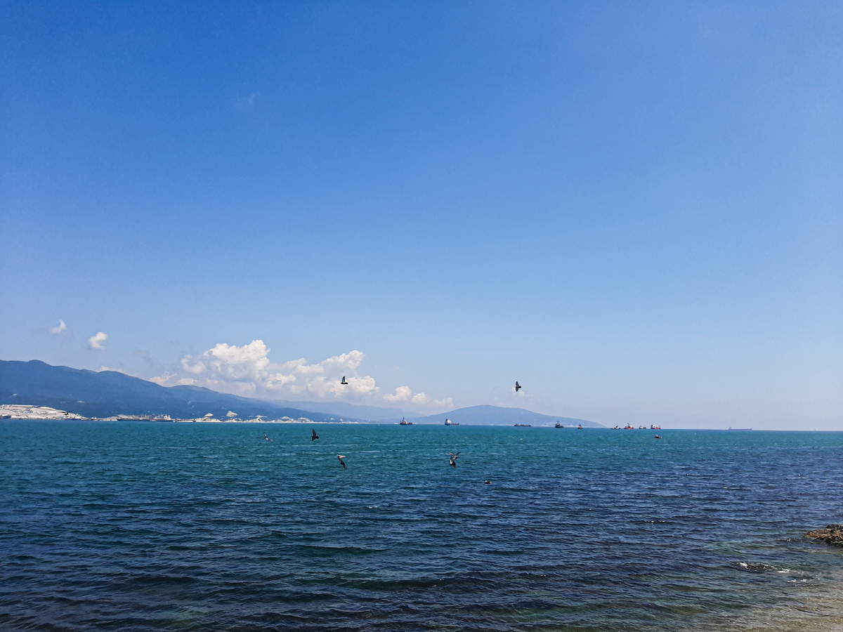 Рай с птицами ждет