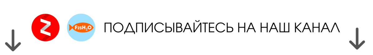 Как спасти пересоленную рыбу: хитрости, о которых многие не знают