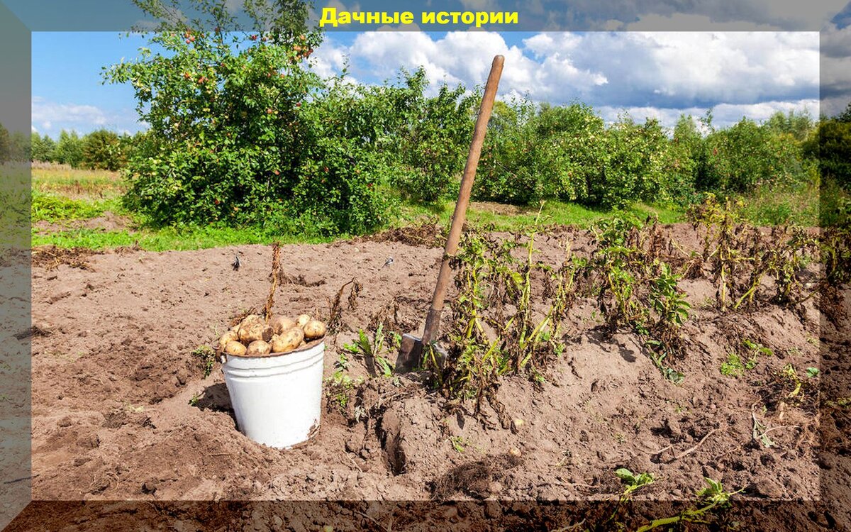https://vk.com/photo-159774511_457249255