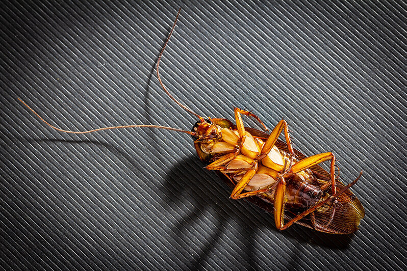 Оглавление