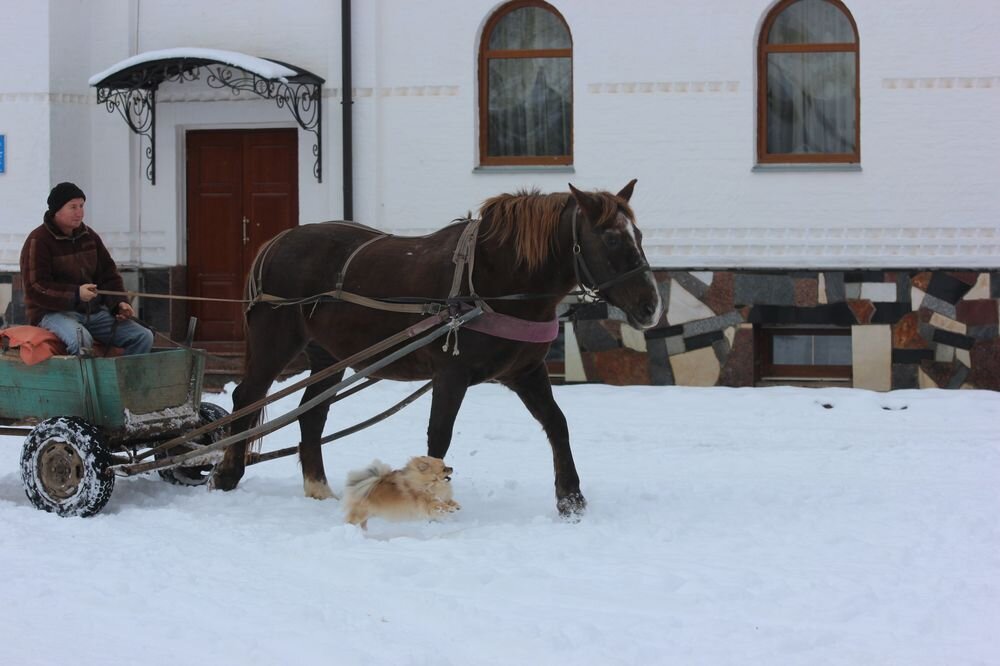 Малышка и Зюзя друзья