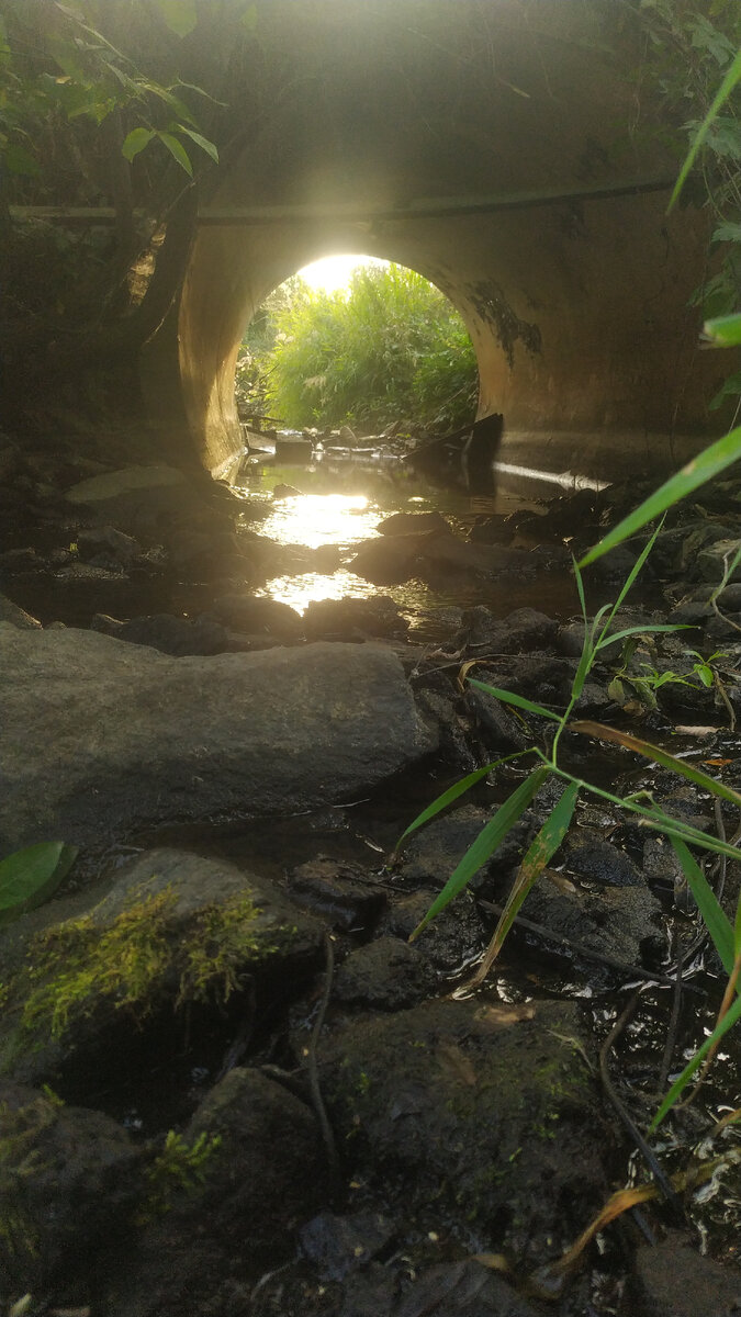 Свет в конце тоннеля)