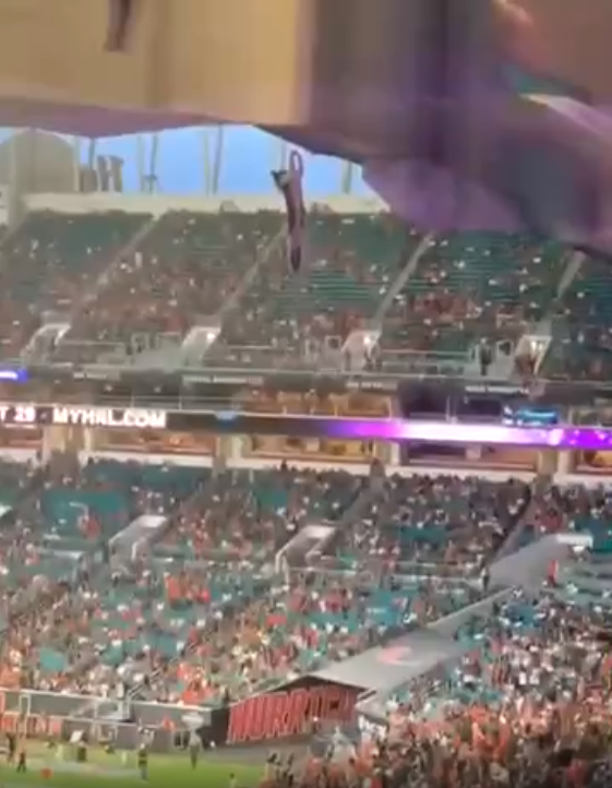 Повис. Источник фото: https://vk.com/video309004530_456239179