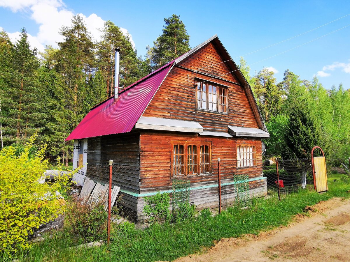 Продается дача год. Нужна ли дача. Дачные новинки. Нужна ли дача в наше время. Тини Хаус финский