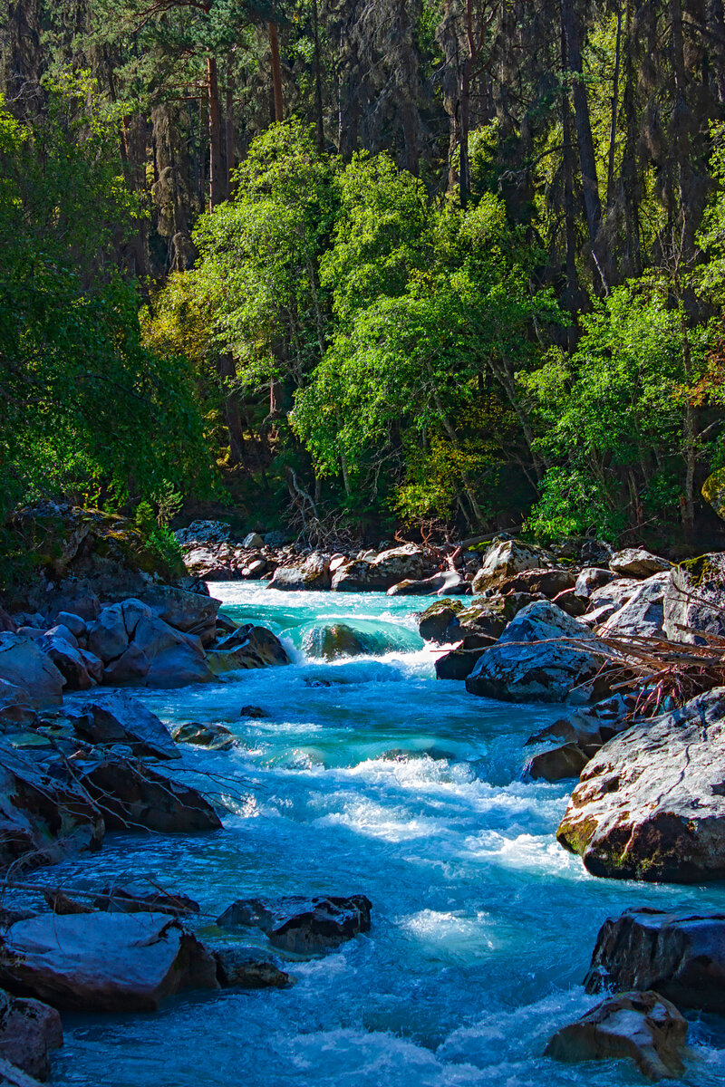 Река Гоначхир у Военно-Сухумской дороги 