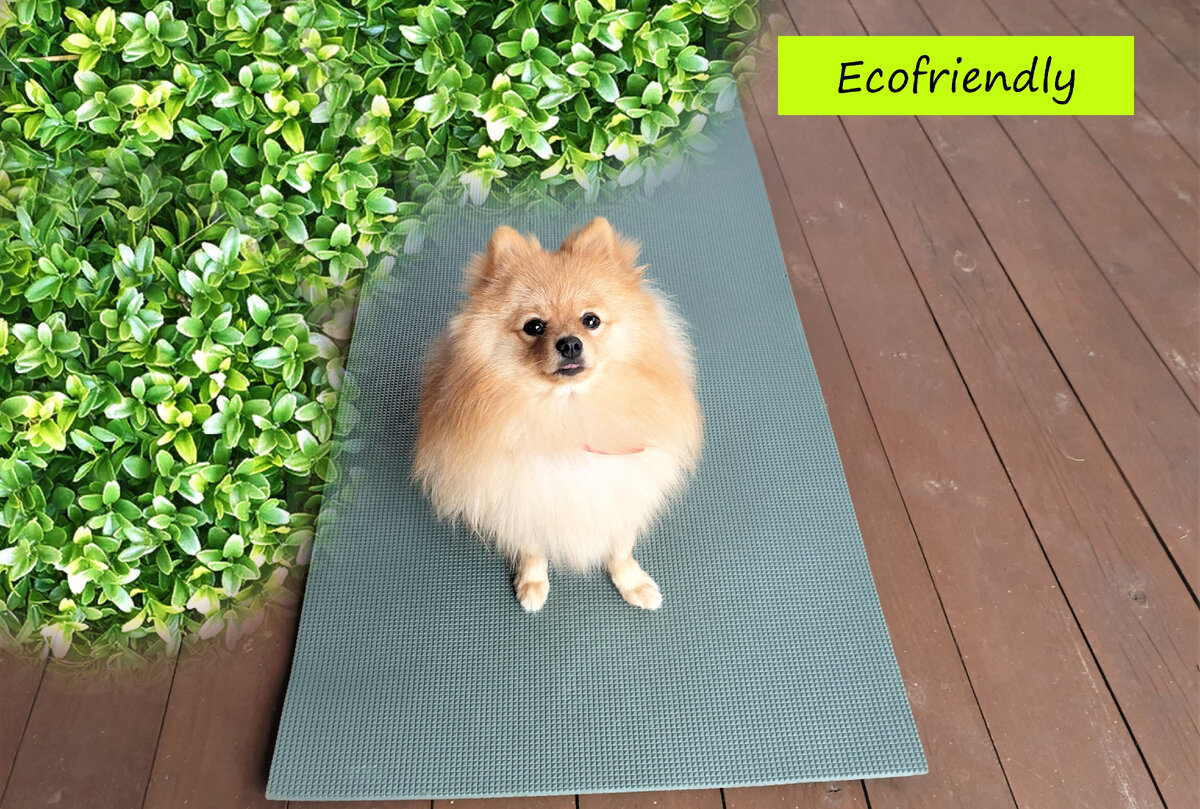 Бруно - настоящий учёный пёс, да ещё и экопросветитель. У него есть микро-пост про День Земли в телеграмм, присоединяйтесь к нашему каналу, чтобы посмотреть его - https://t.me/unikbrunik. 