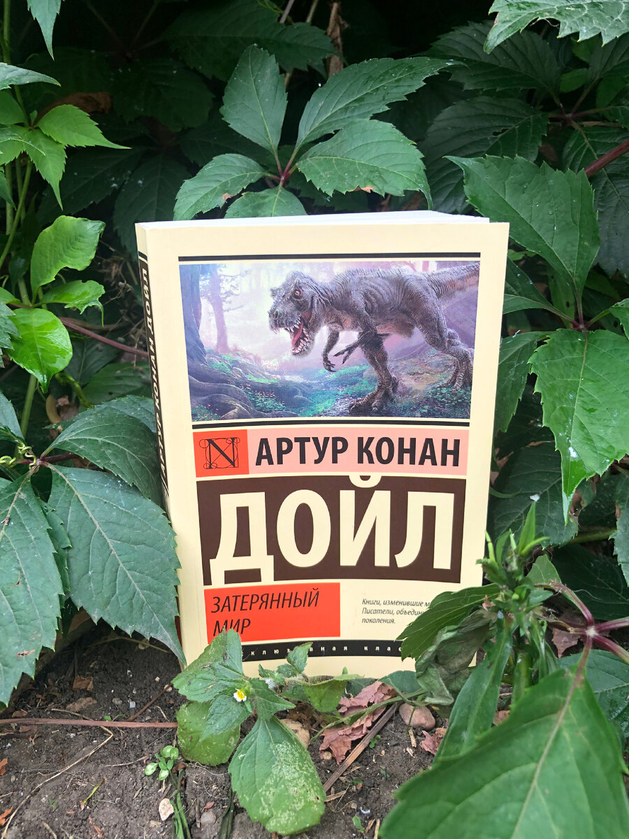 Фото автора статьи 