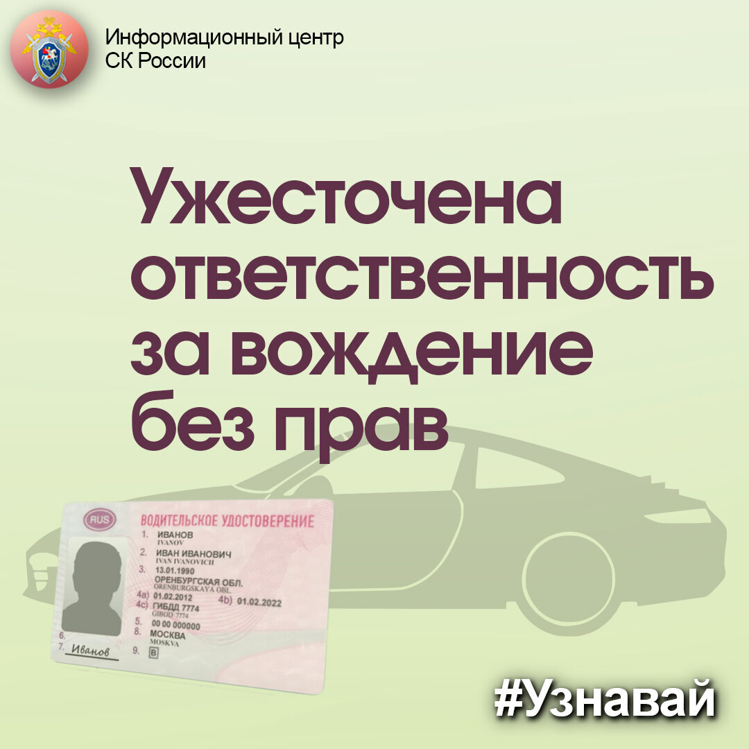 Ужесточена ответственность за вождение без прав | Информационный центр СК  России | Дзен