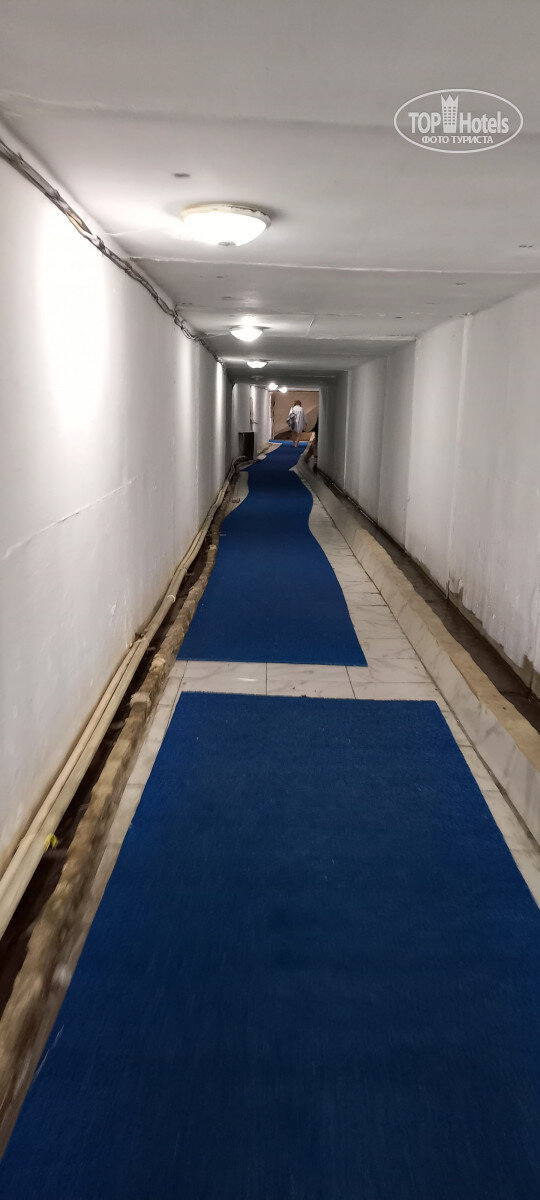 Источник: tophotels.ru