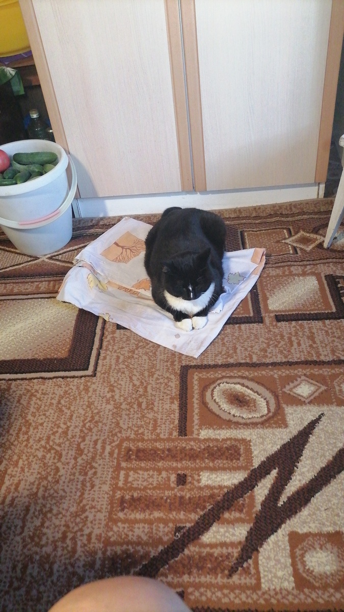 После обработки, на даче, Сима. 