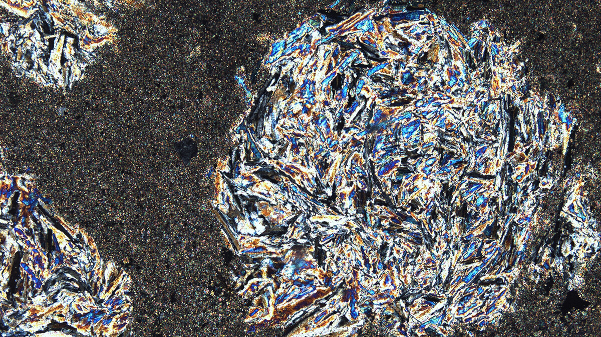   Газпром нефть