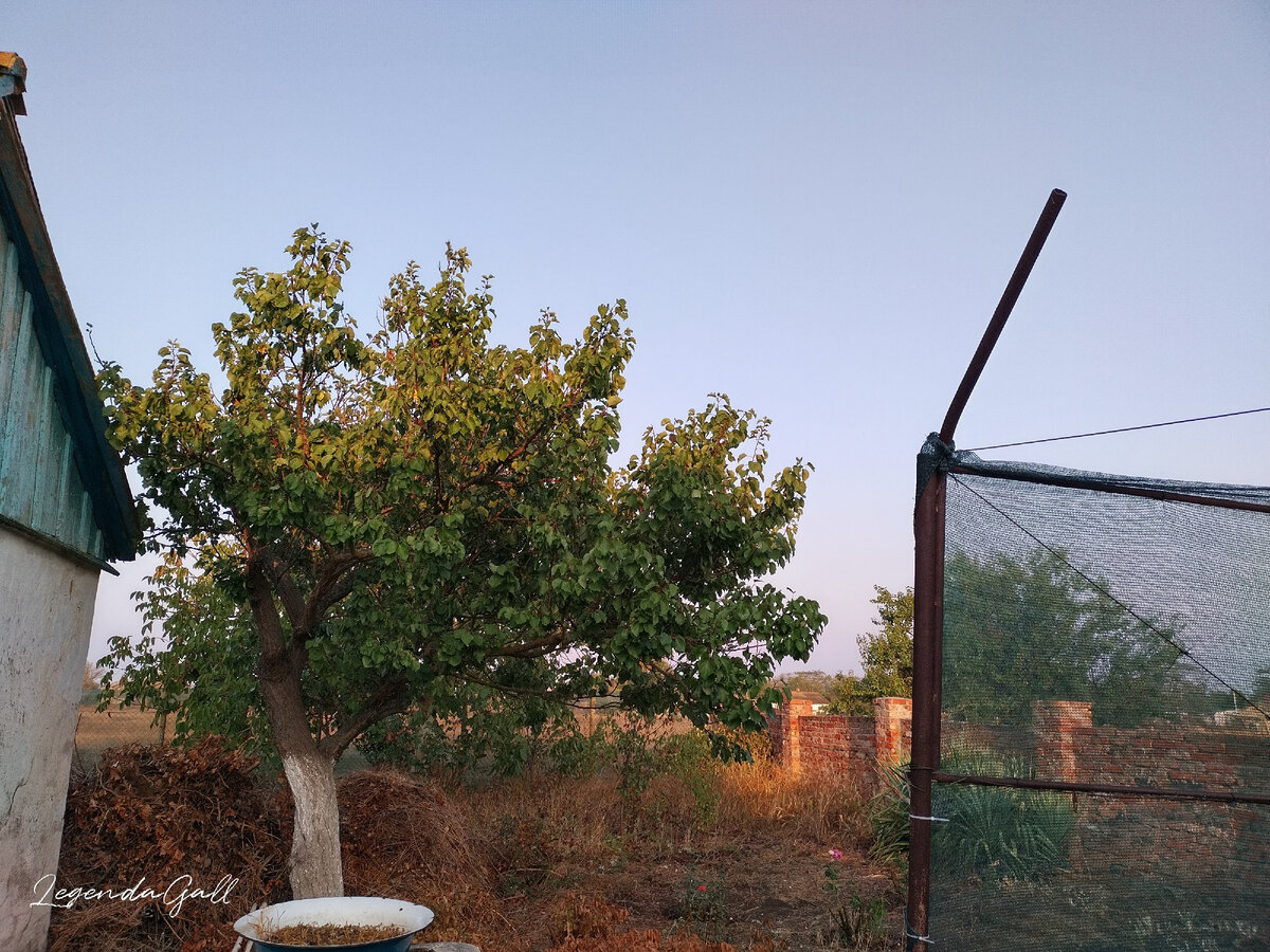 Первые лучи солнца