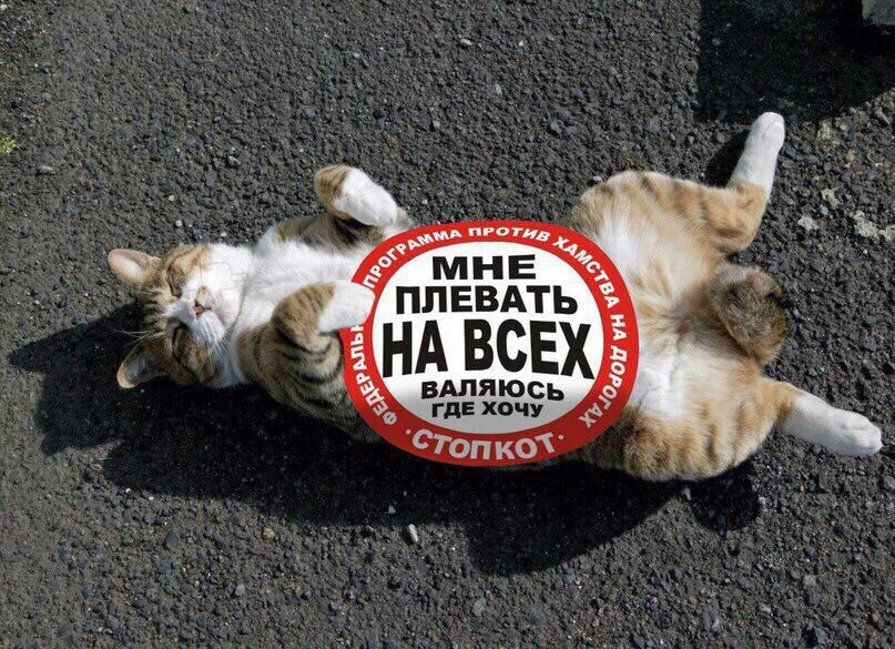 Стопкот...